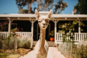 Margaret River Holiday Cottages